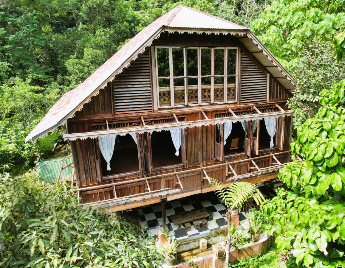 Happy Ria Homestay & Guesthouse Bukit Lawang Exterior photo